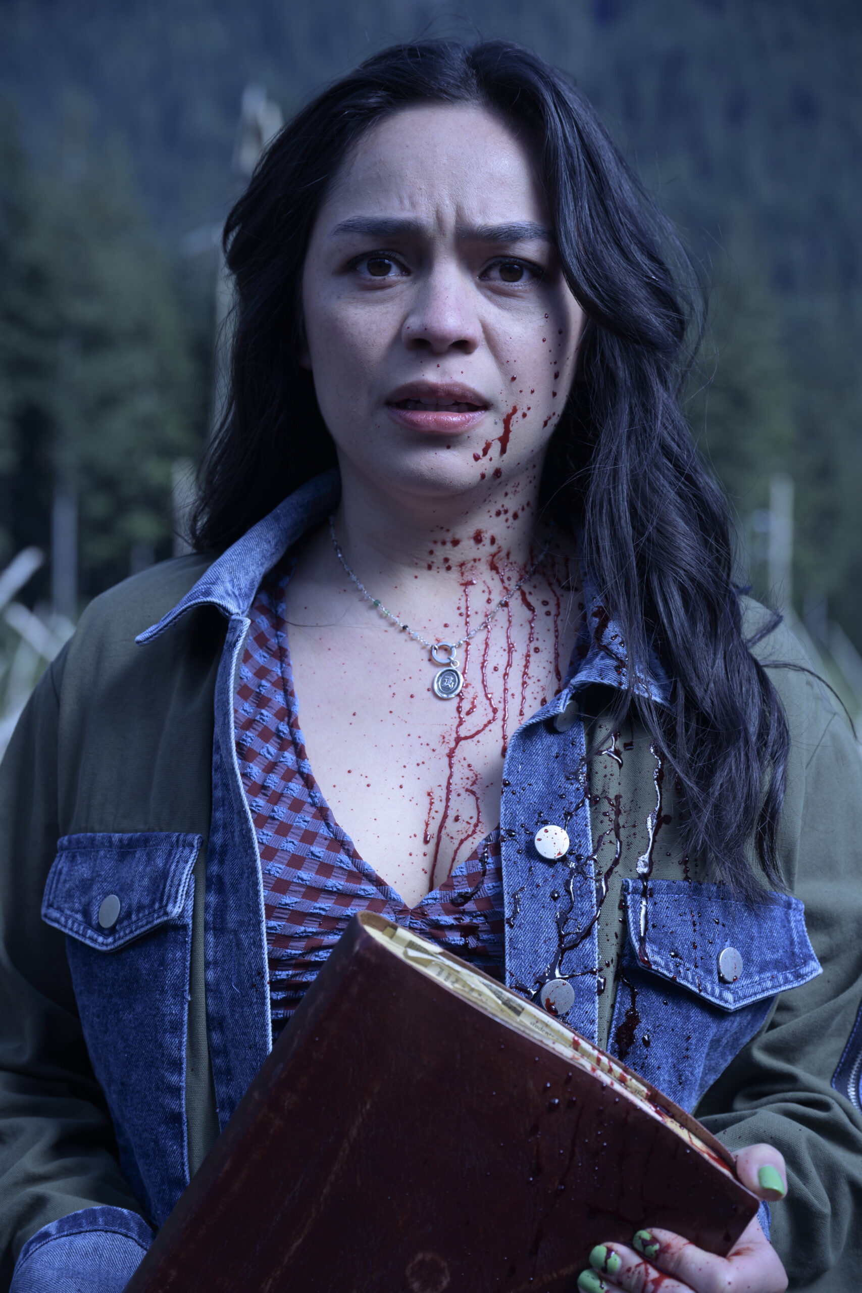 filme von kaitlyn santa juana